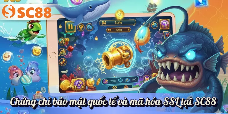 Chứng chỉ bảo mật quốc tế và mã hóa SSL tại SC88