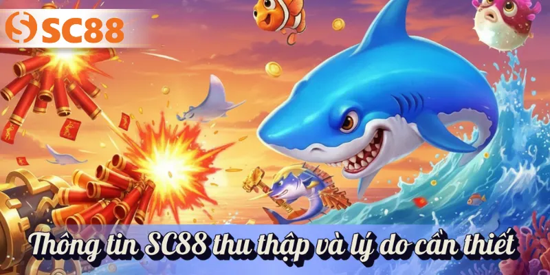 Thông tin SC88 thu thập và lý do cần thiết