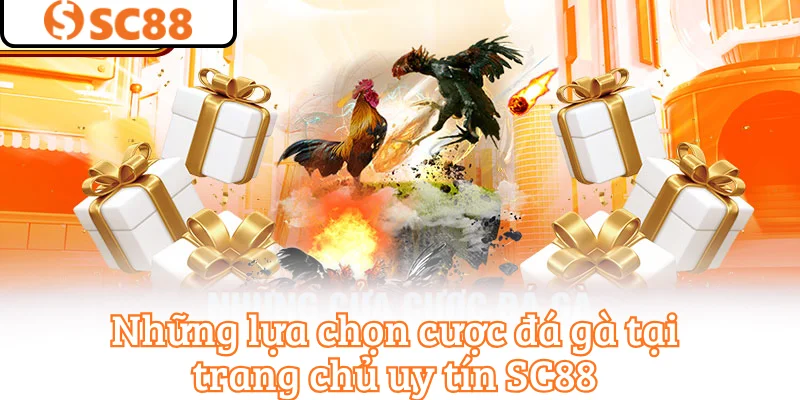 Những lựa chọn cược đá gà tại trang chủ uy tín SC88